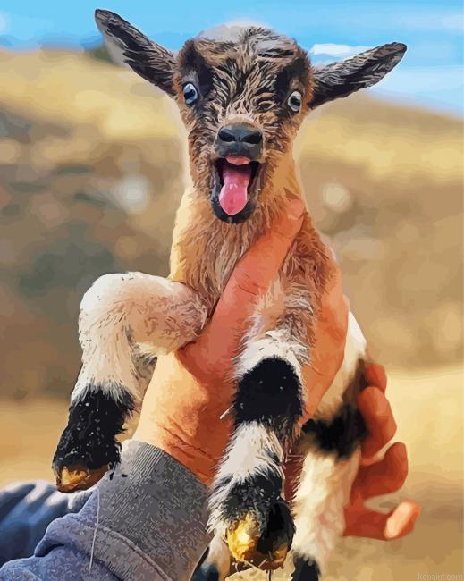 Funny Goat Painting By Numberss.png