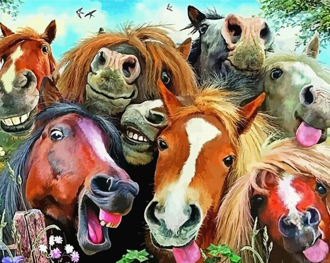 Funny Horses Animals Painting By Numberss.png