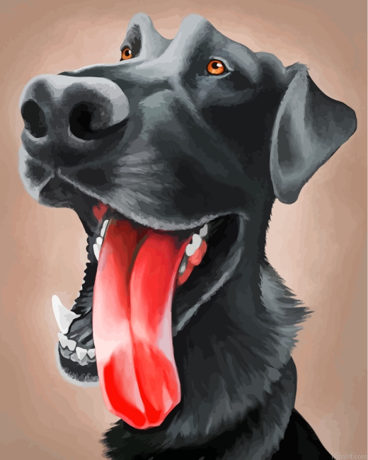 Funny Labrador Dog Painting By Numberss.png