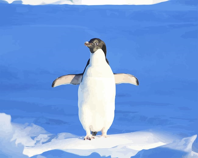 Funny Penguin New Painting By Numberss.png