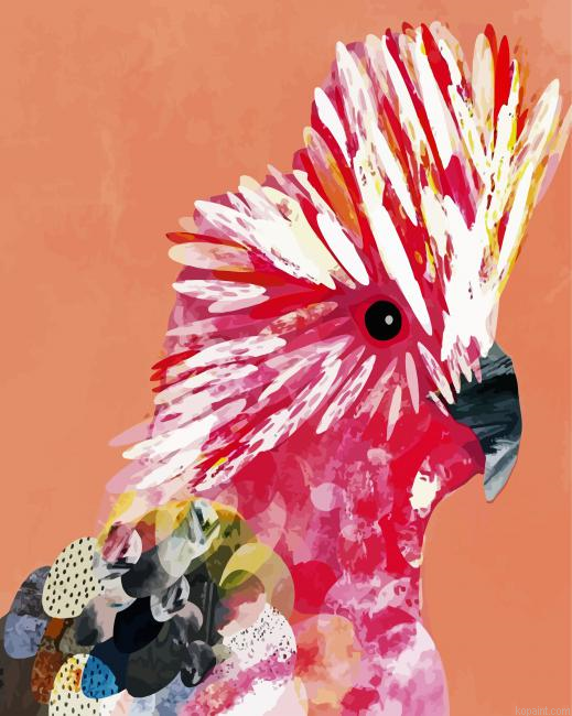 Galah Bird Pop Art Paint by Numbers