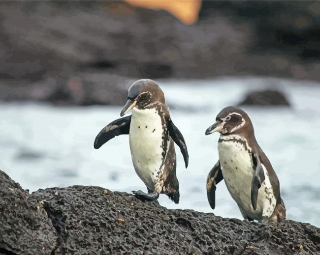 Galapagos Penguins Painting By Numberss.png