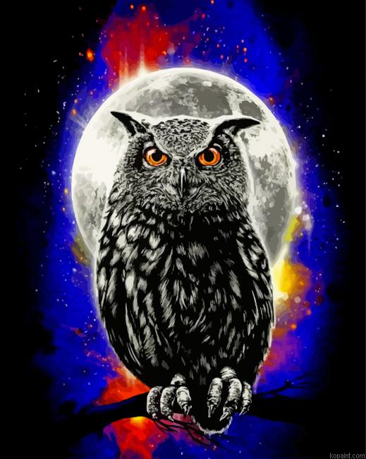 Galaxy Owl Painting By Numberss.png