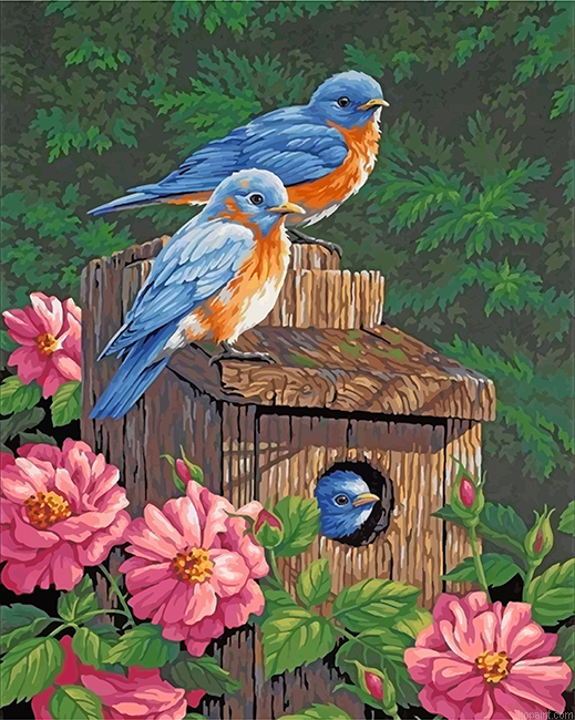 Garden Bluebirds Painting By Numberss.png