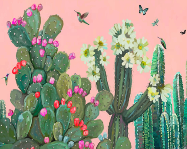 Garden Cactus And Roses Painting By Numberss.png