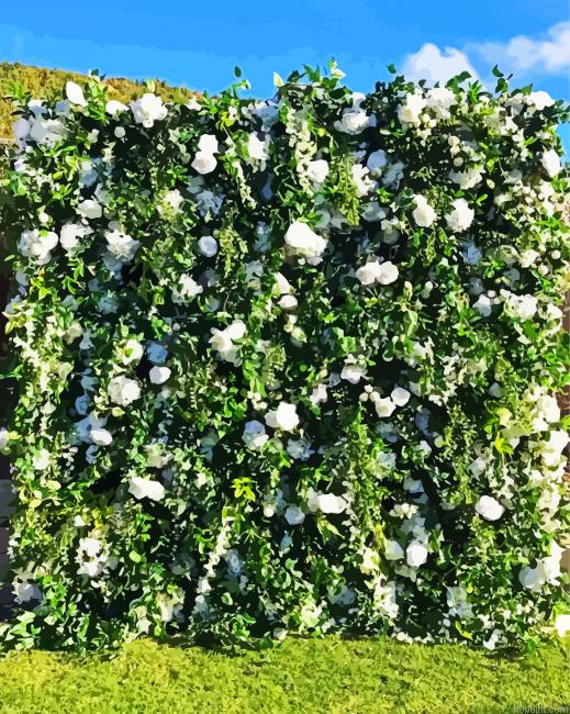 Garden Flowers Wall Painting By Numberss.png
