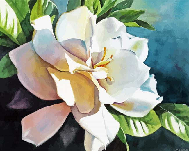 Gardenia Flowers Paint By Numbers