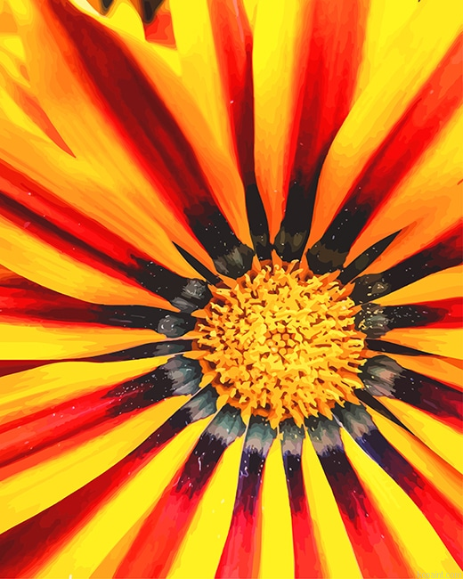 Gazania Big Kiss Yellow Details New Painting By Numberss.png