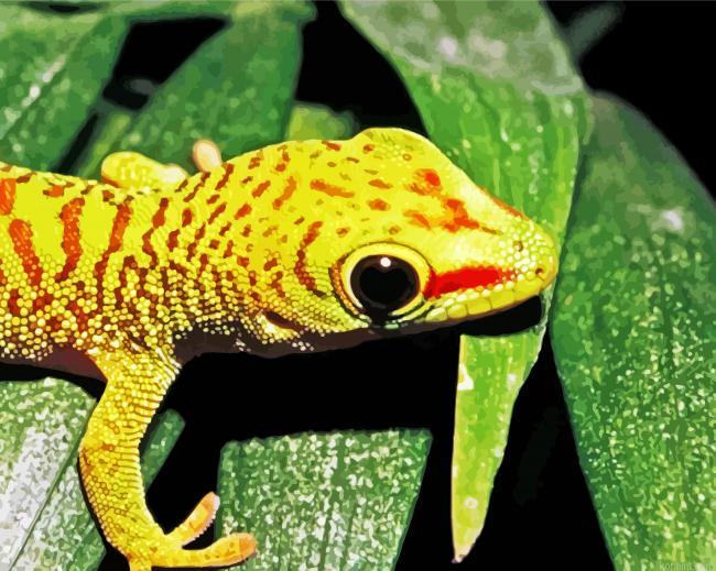 Gecko Reptile Painting By Numberss.png