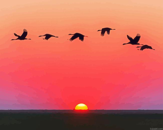 Geese Fly Together Silhouette Paint By Numbers
