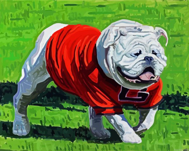 Georgia Bulldog Painting By Numberss.png