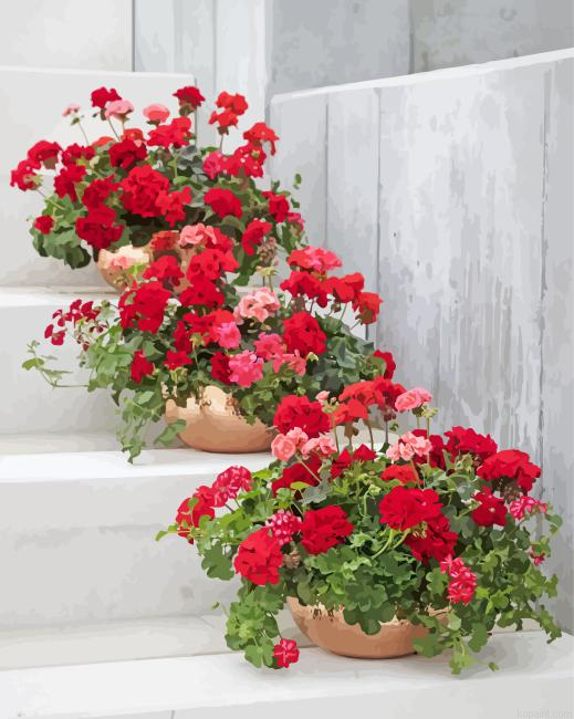 Geraniums In Pots Painting By Numberss.png