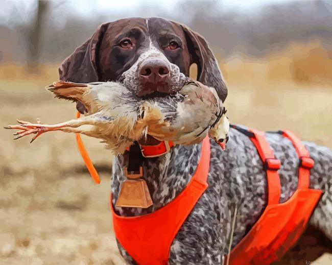 German Shorthaired Painting By Numberss.png