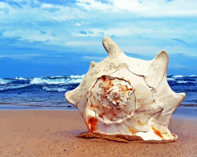 Giant Beach Shells Painting By Numberss.png