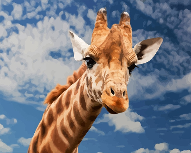 Giraffe New Painting By Numberss.png