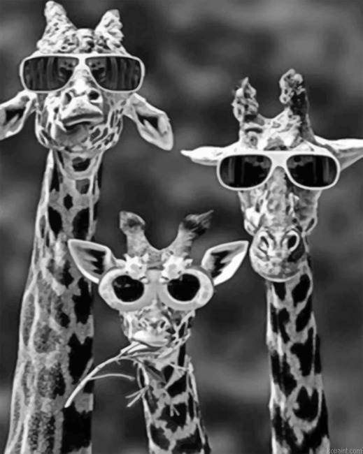 Giraffes With Sunglasses Painting By Numberss.png