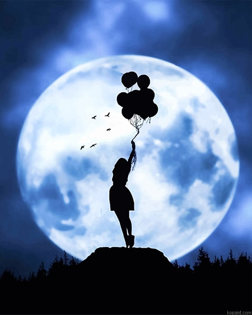 Girl Balloons Silhouette New Painting By Numberss.png
