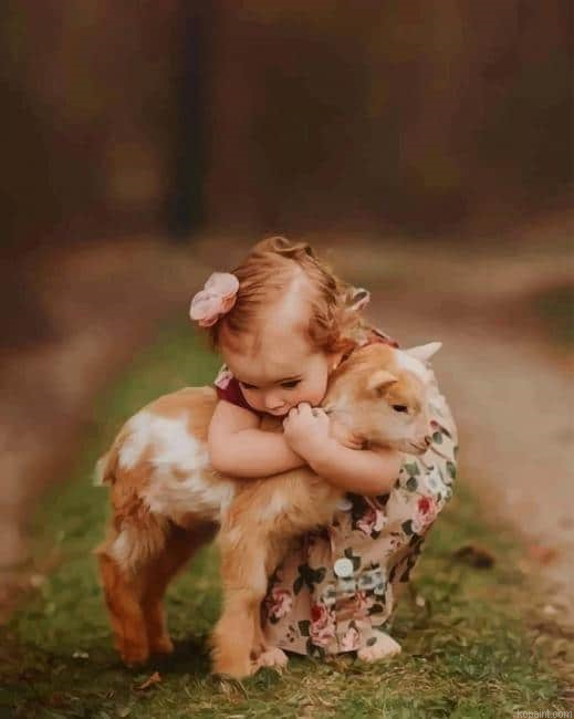 Girl Hugging A Little Goat New Painting By Numberss.png