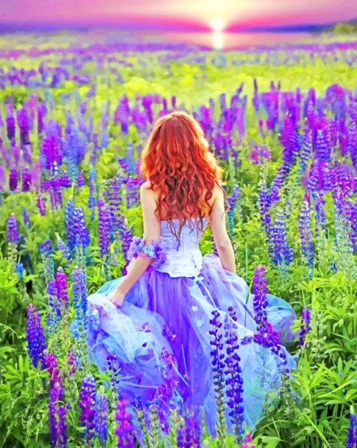 Girl In Lavender Fields New Painting By Numberss.png