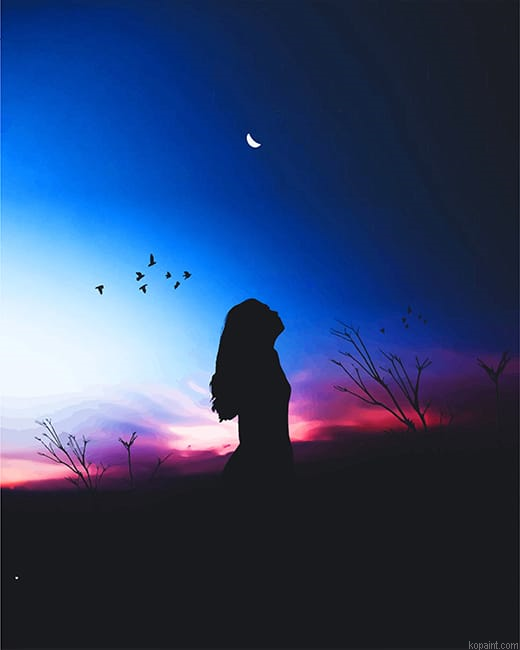 Girl Silhouette New Painting By Numberss.png