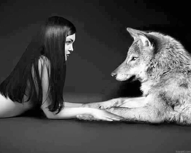 Girl With Her Wolf Best Friend New Painting By Numberss.png