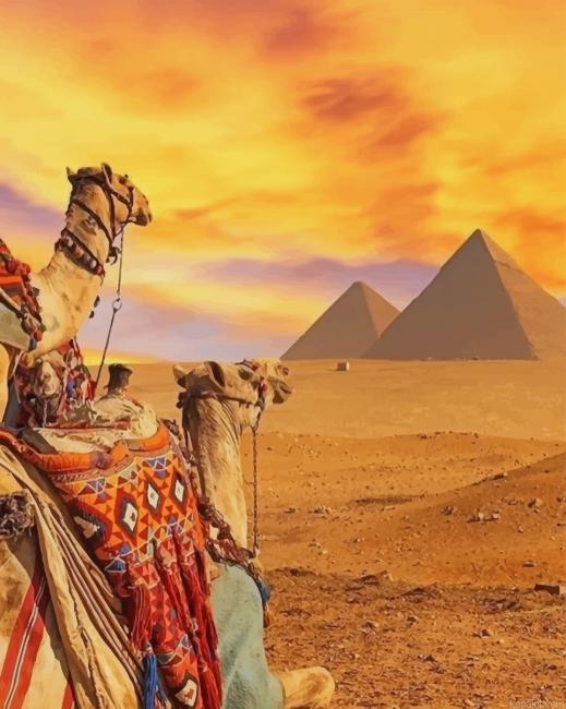 Giza Necropolis Egypt New Painting By Numberss.png