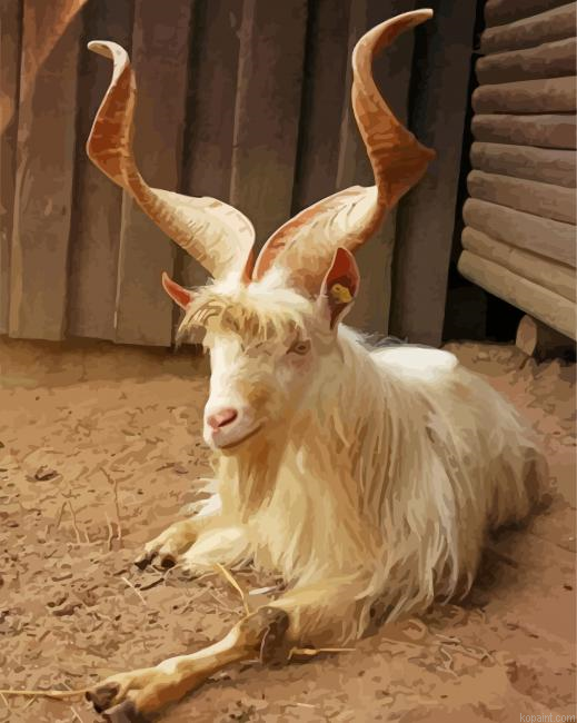 Goat Animal Painting By Numberss.png