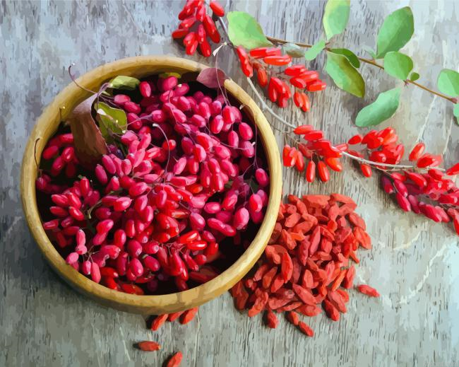 Goji Berries Bowl Painting By Numberss.png