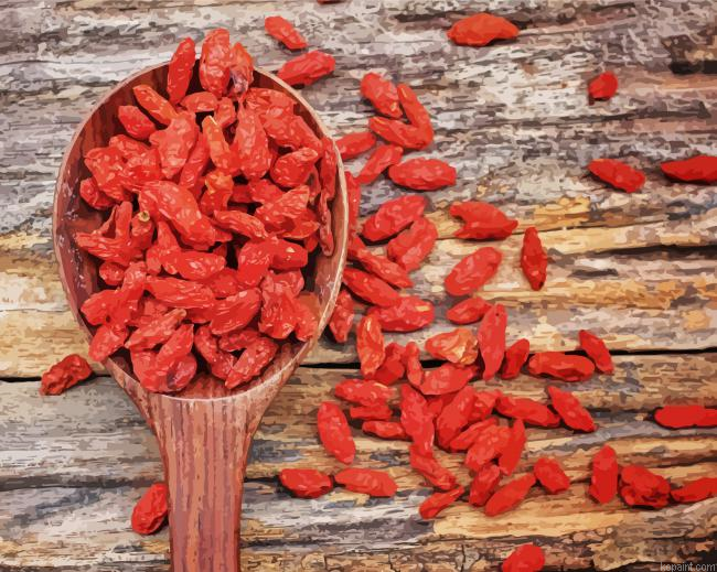 Goji Berries Painting By Numberss.png