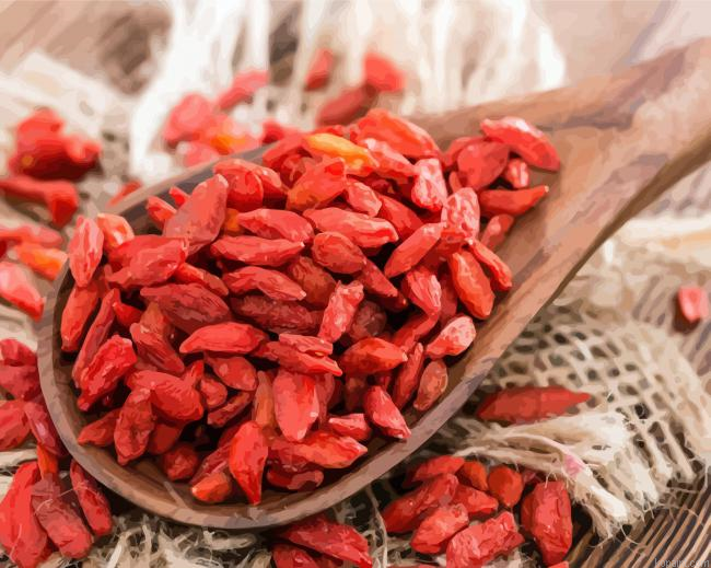 Goji Spoon Painting By Numberss.png