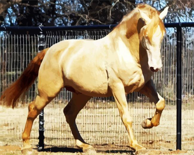 Golden Andalusian Horse Painting By Numberss.png
