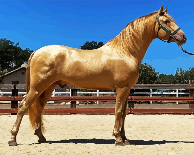 Golden Andalusian Painting By Numberss.png