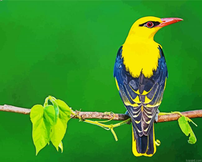 Golden Oriole On Stick Painting By Numberss.png