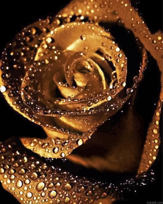 Golden Rose With Raindrops Paint By Numbers