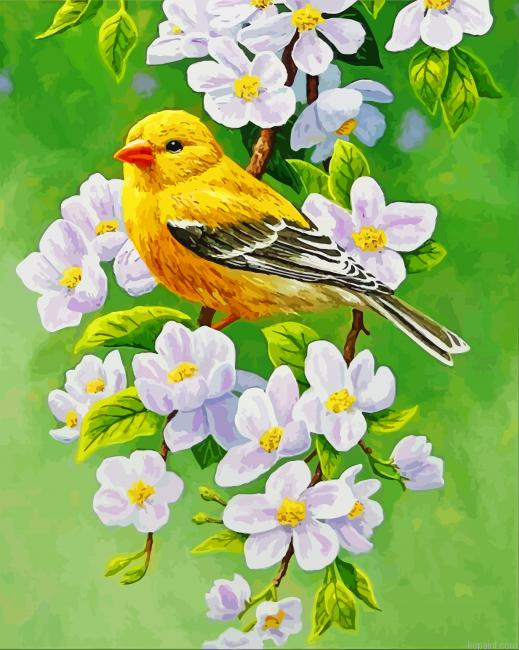 Goldfinch Blossoms Bird Painting By Numberss.png