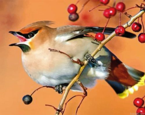 Goldfinch Little Bird Painting By Numberss.png
