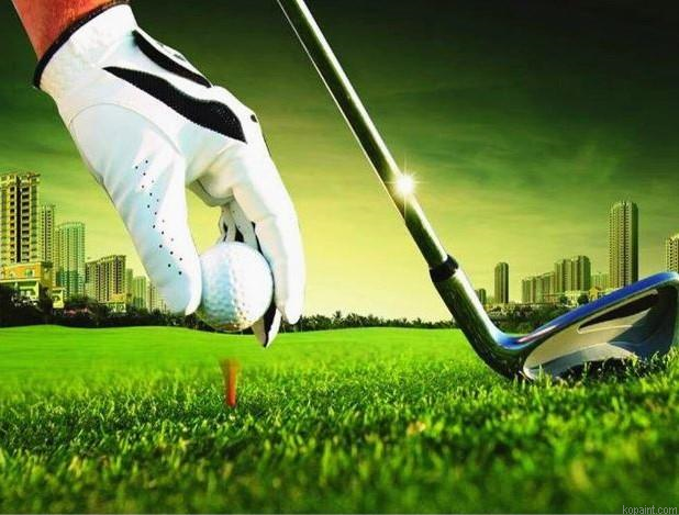 Golf Ball On Tee Scenery Landscape Painting By Numberss.png