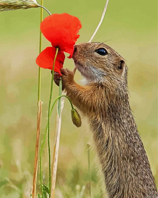 Gopher Smelling Flower Painting By Numberss.png