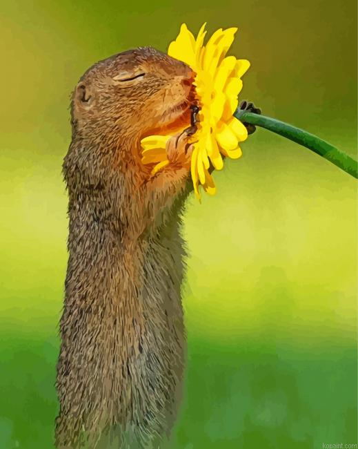 Gopher Smelling Flowers Painting By Numberss.png