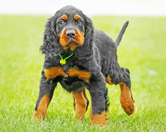 Gordon Setter Dog Animal Painting By Numberss.png