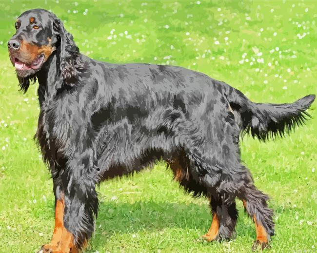 Gordon Setter Painting By Numberss.png