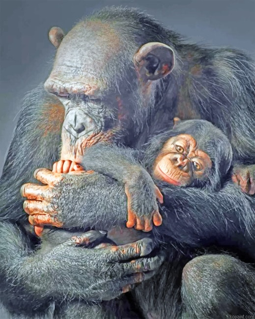 Gorillas Animals Painting By Numberss.png