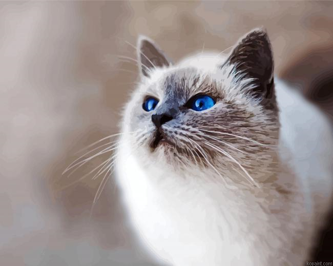 Gray And White Cat Paint By Numbers
