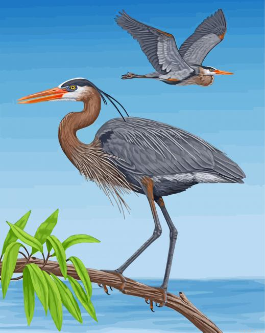 Great Blue Heron Birds Painting By Numberss.png