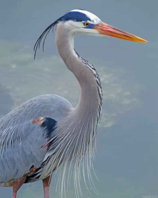 Great Blue Heron Painting By Numberss.png