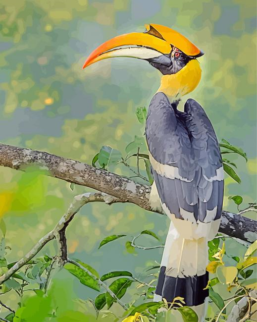 Great Hornbill Bird Painting By Numberss.png