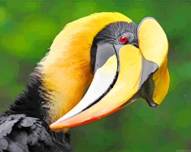 Great Hornbill Painting By Numberss.png