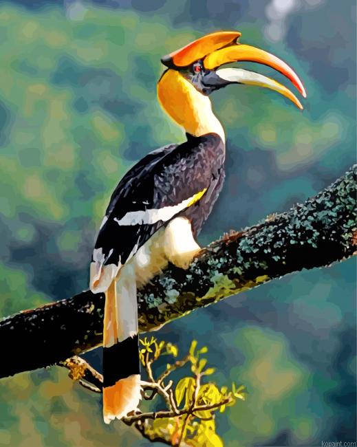 Great Indian Hornbill Painting By Numberss.png
