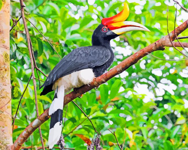 Great Pied Hornbill Bird Painting By Numberss.png