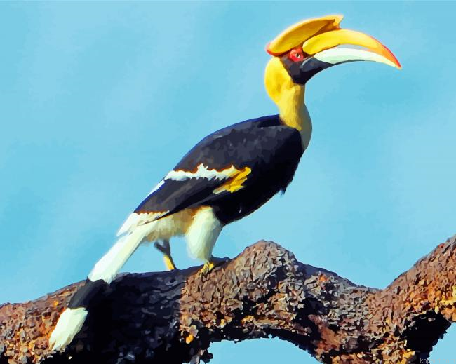 Great Pied Hornbill Painting By Numberss.png